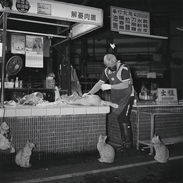 台湾　夢・遊, Chiayi, 2024