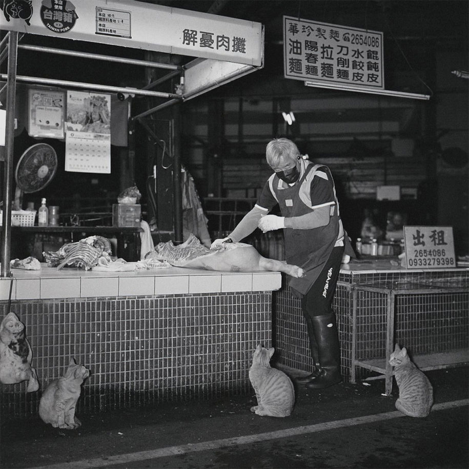 台湾　夢・遊, Chiayi, 2024